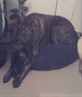 She think she fits in that bed
