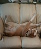 Tough life