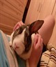My Rabbit Reggie!