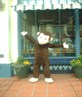 cheeky monkey