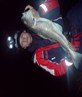 cod