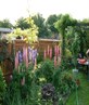 My garden