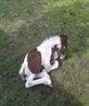 my babys baby lol