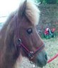 my stallion baby lol
