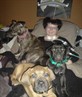 sister and the dogs