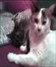 Baby N' Princess