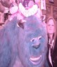 I wonder what this big sully is looking at!LOL