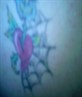 web rose heart tat
