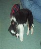 Was he ever this small!!??