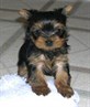 my babay