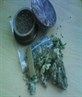 My Weed