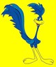 roadrunner