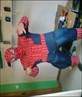 spider pig does woteva a spider pig does lol