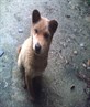 are you ok?