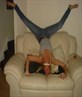 ME BEEN A GYMNAST!!!