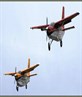 The Quest Kodiak