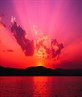 Sweet Photo