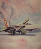 Tomcat