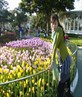 nice tulips