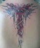 just had this done the day pic got taken