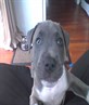 me little man growin up fast,ha,ha