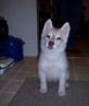 Baby Gerri
