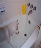 Bath time= Fun time