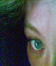 Big green eye lookin atcha 2 August 2008