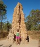 a HUGE termite mound!