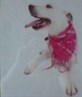snowy - my mums dog