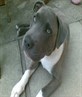 getin a big lad now in e,ha,ha