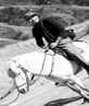 Riding horse in Mount Bromo1
