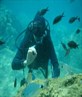 Scuba divin in Turkey