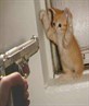 RANSOM