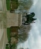 horse back