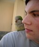 I love my parrot