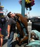 In San Francisco...licking a dolphin.