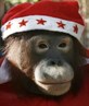 last christmas
