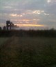 Arty 