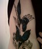 Magpie tattoo on my ribs: Meet me in Montauk