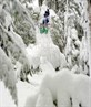 Method in the trees
