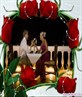 anabel.williams@ymail.com