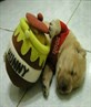 Me doggy