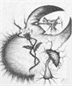 i like to doodle with my eyes crossed