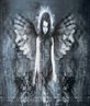 ANGEL OF THE NIGHT.