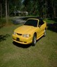 Mustang front
