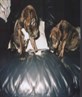 the mutts