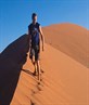 Climbing the dunes