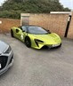 Mclaren at new forest