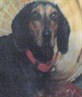 Winnie.. R.I.P 9/30/96 - 8/30/04